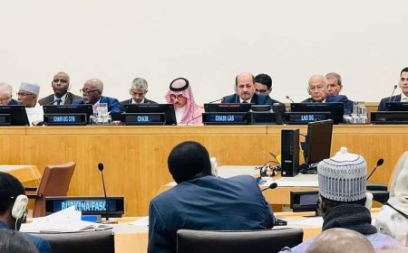 وزير الخارجية يشارك في الاجتماع الوزاري الطارئ للجامعة العربية ومنظمة التعاون الإسلامي