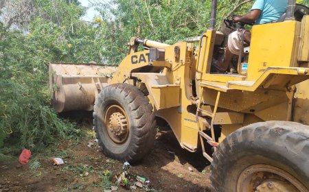 بالشراكة مع "ثمار الخير" ..صندوق النظافة والتحسين يدشن حملة نظافة وأسعة وإزالة الأشجار الضارة بمدرسة الميثاق بأبين