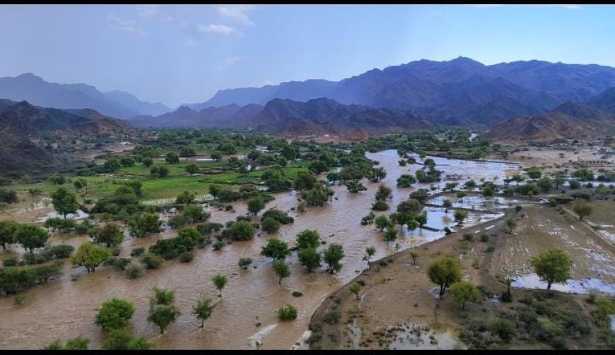 ما دور الجهات المختصة والمنظمات من اضرار السيول التي لحقت بوادي وصر جيشان ؟