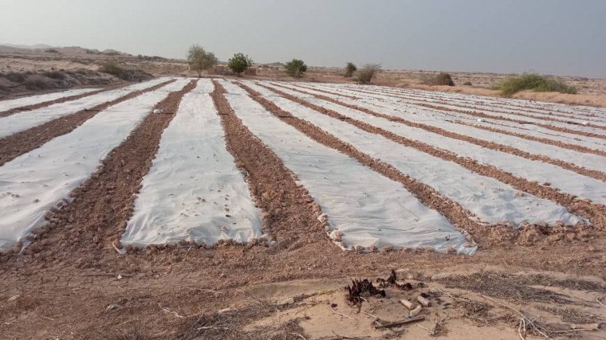 مستقبل مشرق لمديرية رضوم في المجال الزراعي والحيواني وزيادة التصدير فاق التوقعات