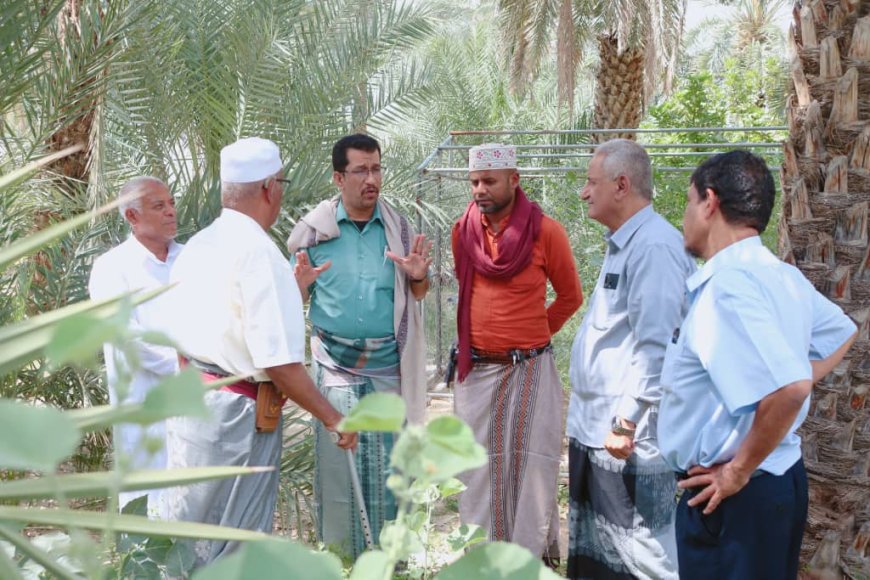 محلي سيئون يبحث عن أوجه التعاون المشترك مع مكتب وزارة الزراعة والري بالوادي والصحراء.