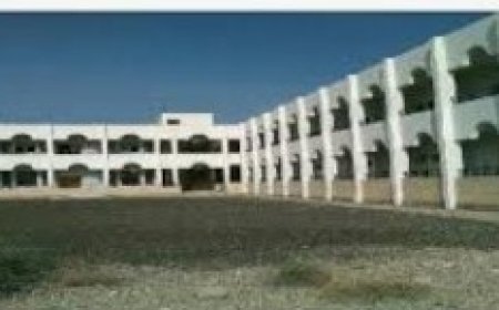 صرف حوافز المعلمين والمعلمات المتعاقدين في مدارس مديرية المحفد المدعومين من السلطة المحلية بالمديرية