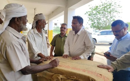 محافظ أبين ووكيلا وزارة الزراعة  يقومون بزيارة تفقدية لمحلج القطن ومصنع الزيوت النباتية بالكود 