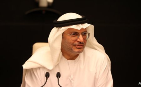 قرقاش: زمن الميليشيات كلّف العرب كثيرا ويجب العودة للدولة الوطنية