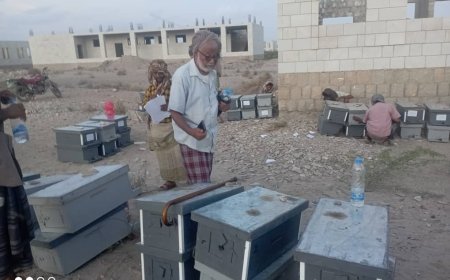 الصندوق الاجتماعي للتنمية فرع عدن يقوم بتوزيع خلايا نحل على المستفيدين في مديرية أحور