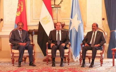 قمة مصرية اريترية صومالية وبيانآ مشتركأ للدول الثلاث