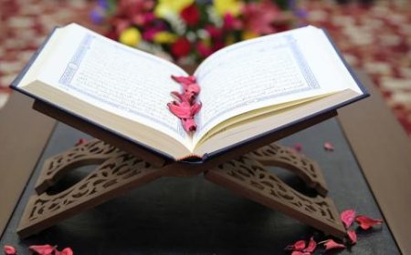 رحلتي مع القرآن