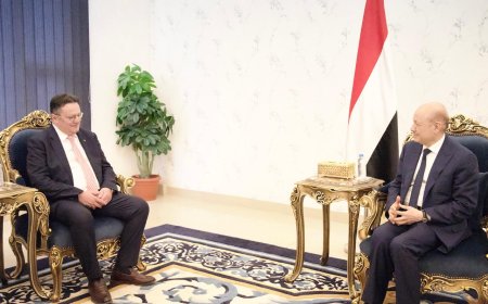 رئيس مجلس القيادة يتسلم اوراق اعتماد السفير الروماني