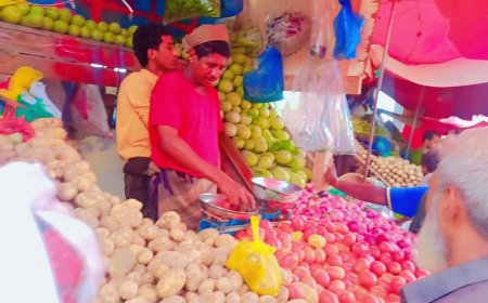 أسعار الخضار بسوق زنجبار اليوم الأحد