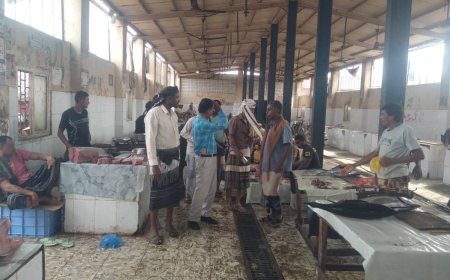 مدير عام المصائد السمكية بأبين يطلع على نظافة سوق الأسماك بزنجبار