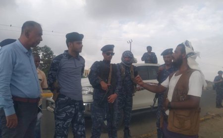 بعد إغلاقهم للطريق العام.. مدير عام مديرية زنجبار يوجه باعة المواشي للبيع بموقع السوق الجديد