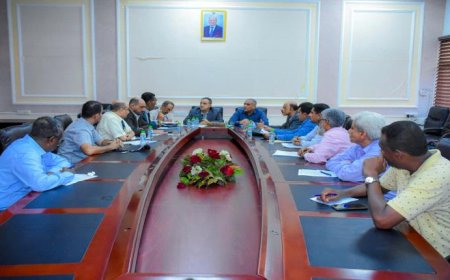 لصور يناقشُ مع لجنة التصنيف دخول جامعة عدن في التصنيف البريطاني QS