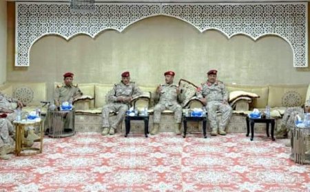 رئيس هيئة الأركان يلتقي بقيادة محور أبين