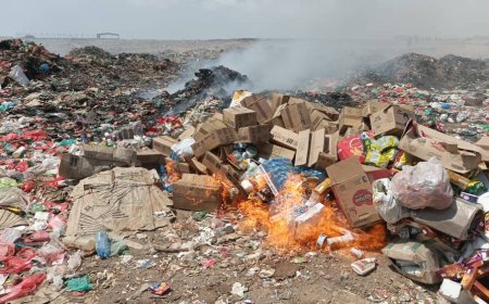 إتلاف ( 5 ) أطنان من المواد الغذائية منتهية الصلاحية في مديرية المنصورة