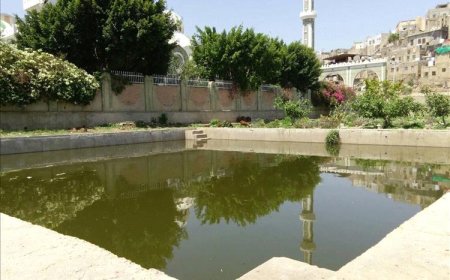 وفاة 5 فتيات إثر سقوطهن في بركة صرف صحي بتعز