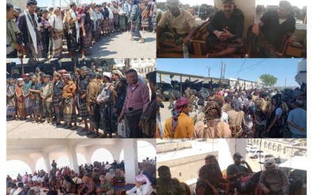 قبائل المراقشة يسندّون محكّمين للاخ صبري عدنان في خطأ أحد أبناءهم: