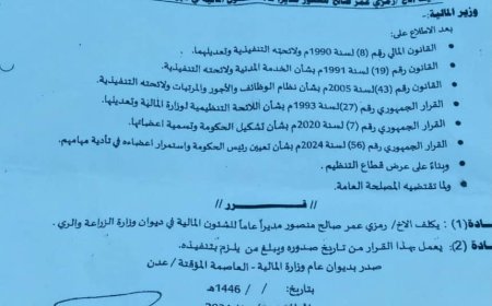 وزير المالية يصدر قرار بتكليف رمزي عمر صالح مديراً عاماً للشئون المالية في ديوان وزارة الزراعة والري 