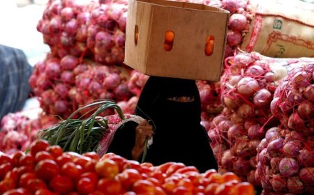 تراجع حاد في أسعار الطماطم بعد وصول المستورد الأردني إلى عدن