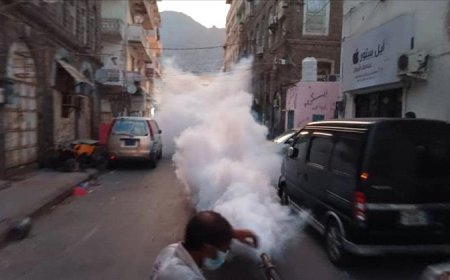حملة رش ضبابي لمكافحة البعوض بعد الأمطار