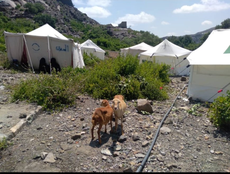 مليشيا الحوثي الإرهابية تستهدف الأعيان المدنية شمال غرب المسيمير الحواشب