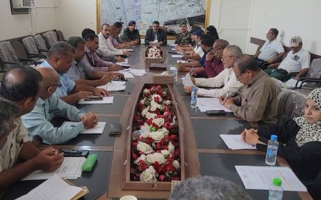 تنفيذي المنصورة يناقش تقريري أداء "مكتب التعليم الفني" و"إدارة الصرف الصحي" بالمديرية