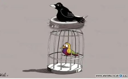 إيران من “حرب الفراولة” إلى “البينغ بونغ” تشبيه عميق جدًا!!