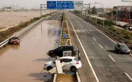 "الماء التهم اليابسة".. ارتفاع عدد قتلى الفيضانات في إسبانيا إلى 205