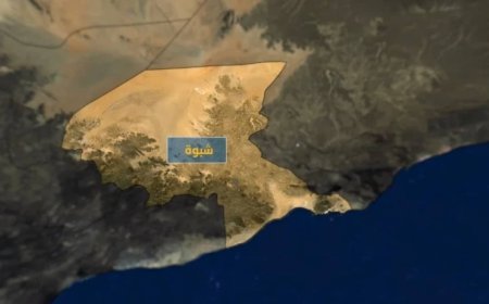 بيان صادر عن منظمات المجتمع المدني في محافظة شبوة حول عُقد ما يُسمى "تكتل الأحزاب السياسية اليمنية" اجتماع في العاصمة عدن 