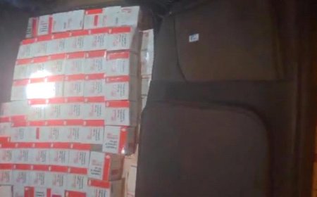 جمارك الوديعة.. ضبط كميات ضخمة من الأدوية الممنوعة
