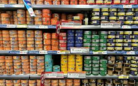 تحذير “خطورة هائلة” لعلب التونة على الصحة.. "تحقيق" 