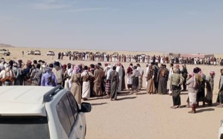 بمشاركة رئيس حلف قبائل شبوة.. التوصل إلى اتفاق صلح بين آل باحيان وآل عبدالقوي