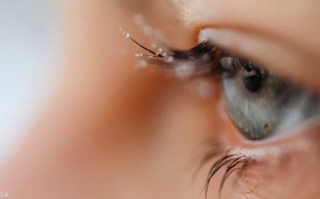 للحفاظ على صحة العين.. تناول هذا النوع من المكسرات