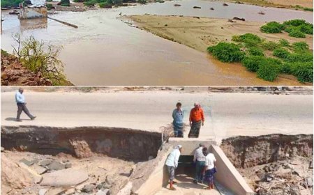 في "أحور" بأبين أراضٍ خصبة وبحر زاخر وغياب شبه كلي للجهات الداعمة ..!!