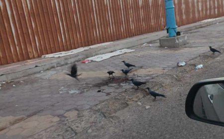 عدن.. أكتشاف جثة متحللة داخل باص فوكسي بساحل أبين