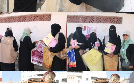 مديرية المنصورة تنفذ حملة تعزيز صحة الأم والوليد تحت شعار (صحتك اغلى) 