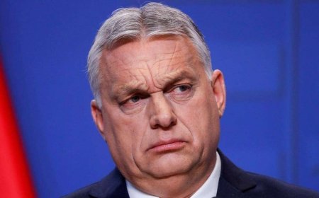 أوربان يتحدى الجنائية الدولية ويدعو #نتنياهو لزيارة #المجر