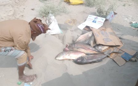 مكتب الأشغال العامة بزنجبار يضبط اسماك تالفة وغير صالحة بسوق الاسماك بالمدينة