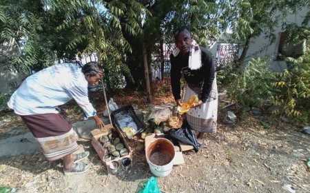 اشغال زنجبار يضبط مخالفات صحية بعدد من البوفيات