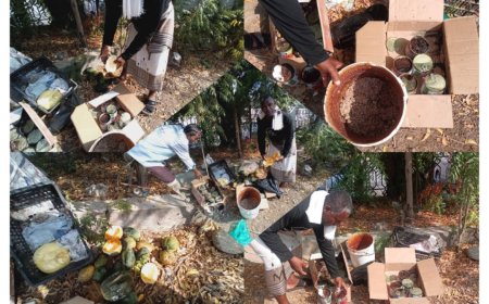 اشغال زنجبار يضبط مخالفات صحية بعدد من البوفيهات وبسطة لبيع (المدربش الحامض)