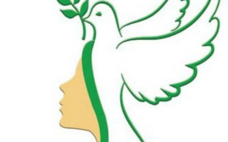 "بيان تضامني"  صادر عن مجموعة جنوبيات من اجل السلام بمناسبة (الحملة العالمية ل16 يوم لمناهضة العنف ضد المرأة) 