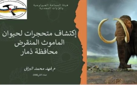 اكتشاف أثري تاريخي قديم ومبهر.. أحافير الماموث تكشف عن ماضي مجهول في "ذمار اليمنية" 