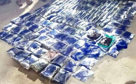 المهرة.. ضبط 200 كيلو من مادة الحشيش المخدر في منفذ شحن