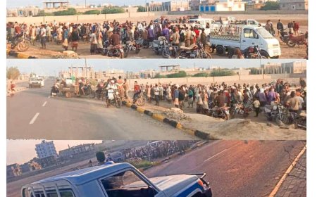 بتوجيهات محافظ محافظة أبين وإشراف مدير عام المديرية  وبتعاون الأجهزة الأمنية  تخصيص وتنظيم سوق خاص لبيع الاغنام والمواشي بمدينة زنجبار