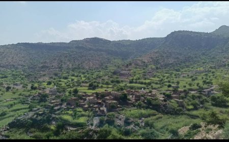 الحزام الأمني مسنوداً بوحدات جنوبية يصد هجوماً للحوثيين ويرد على مصادر نيرانهم شمال غرب المسيمير الحواشب