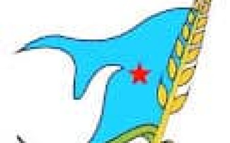 اشتراكي أبين يدعو الجهات الأمنية إلى الاستجابة لمطالب المزارعين وتنفيذ توجيهات القضاء بوقف البناء في منطقة القريات الزراعية