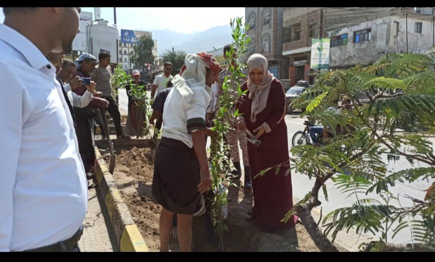 تدشين مشروع تشجير عدد من شوارع تعز 