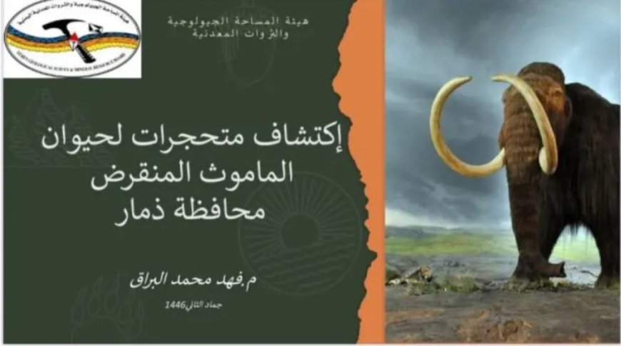 اكتشاف أثري تاريخي قديم ومبهر.. أحافير الماموث تكشف عن ماضي مجهول في "ذمار اليمنية" 