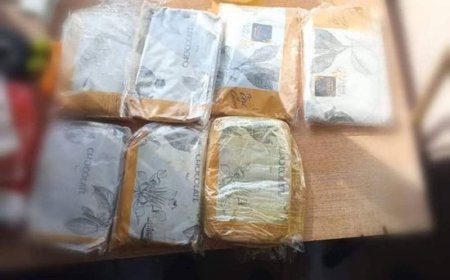 حضرموت الساحل.. ضبط كمية من الحشيش بحوزة شخصين في نقطة دفيقة 