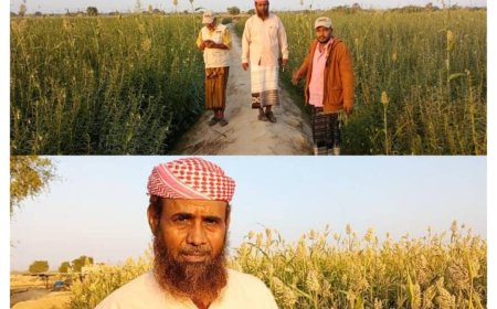 الدكتور الخاشعة خلال زيارة إلى مديرية احور تفقد حقول السمسم والذرة الرفيعة ويشيد بنجاح المزارعين في خلو الحقول من الآفات وثمار مكتمل