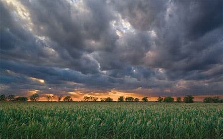 فلكيان يحذران:  تغيرات مناخية خطيرة ستضر بالمحاصيل الزراعية